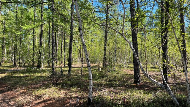 900 м², земельные участки, продаю