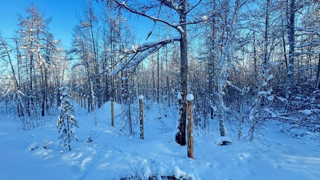 Земельные участки, продаю