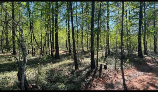 900 м², земельные участки, продаю 2