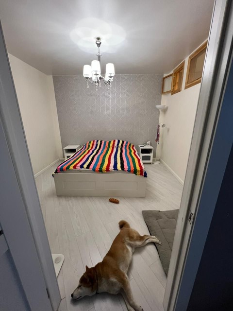 3 комн., Монолитно-каркасный, 103 квартал (Ростелеком) 7