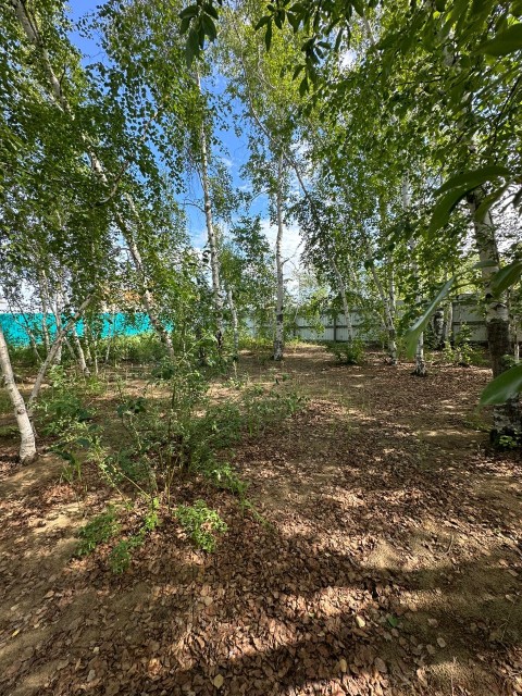 843 м², земельные участки, продаю 5