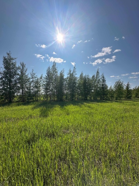 10000 м², земельные участки, продаю 3