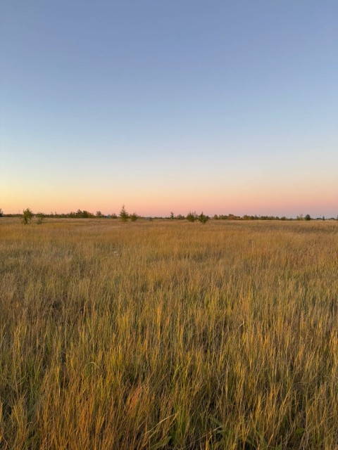 1000 м², земельные участки, продаю