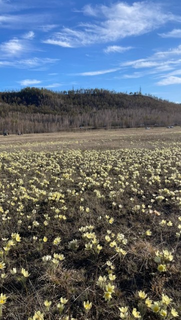 13 м², земельные участки, продаю