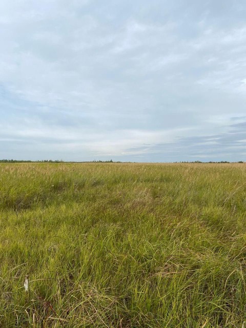 3000 м², земельные участки, продаю 4