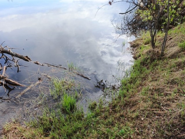 1213 м², земельные участки, продаю 7