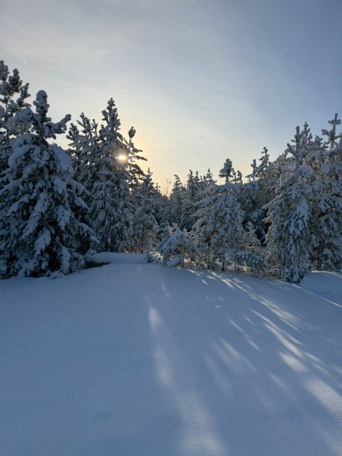 100000 м², земельные участки, продаю 3