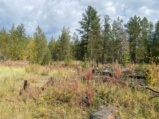 1000 м², земельные участки, продаю 3