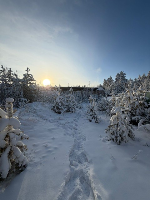 100000 м², земельные участки, продаю 4