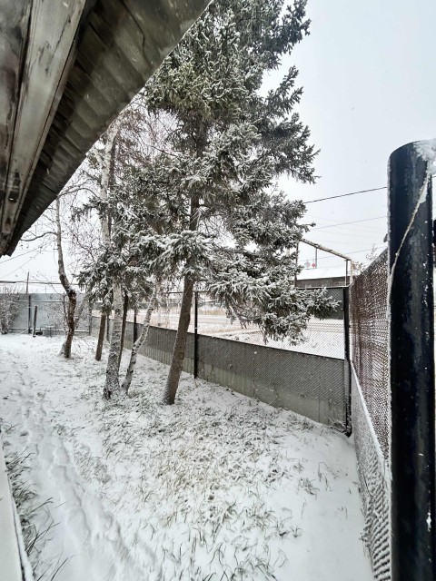 9000 м², земельные участки, продаю 5