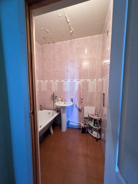 1 комн., Инд. планировка, Студгородок 7