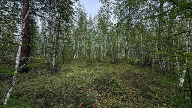 753 м², земельные участки, продаю