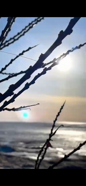 800 м², земельные участки, продаю 5