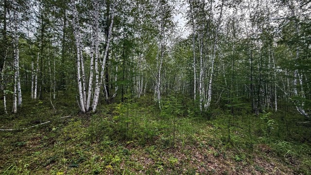 753 м², земельные участки, продаю 3