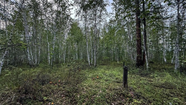 753 м², земельные участки, продаю 4