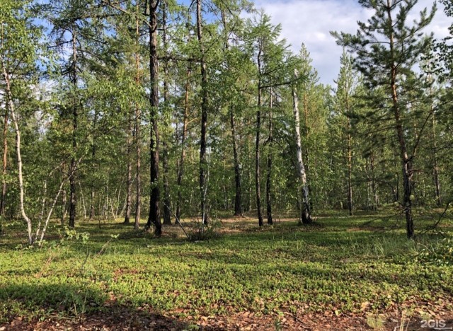 1000 м², земельные участки, продаю