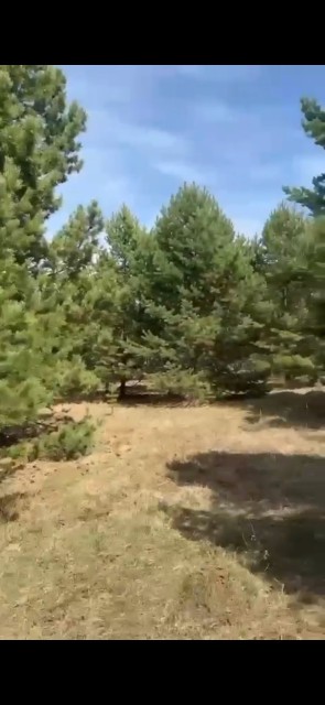 800 м², земельные участки, продаю