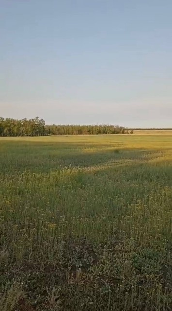 2026460 м², земельные участки, продаю 2