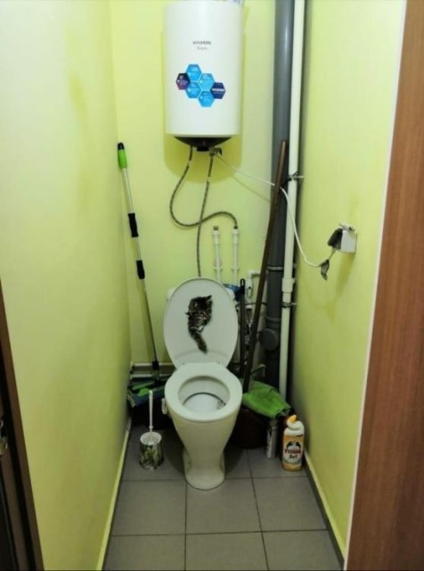 2 комн., 59 м², Блочный, ДСК 8