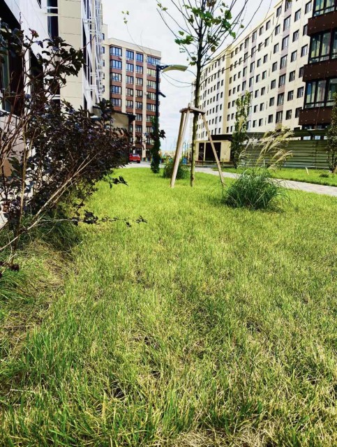 Студия, 26 м², Монолитно-каркасный, Другие районы 6