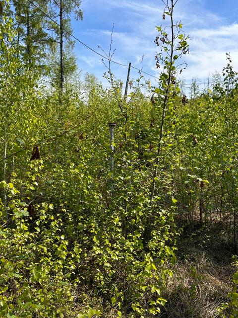 1000 м², земельные участки, продаю