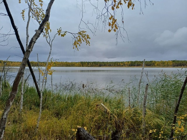 1200 м², земельные участки, продаю 3