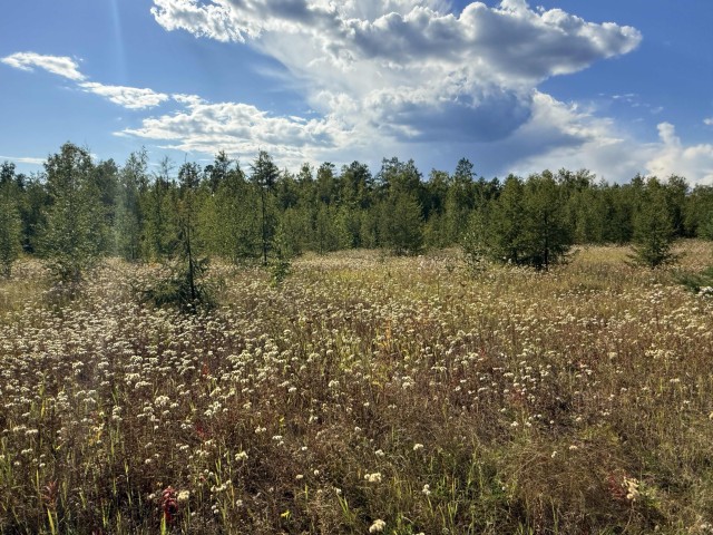 800 м², земельные участки, продаю