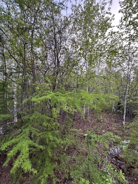 539 м², земельные участки, продаю