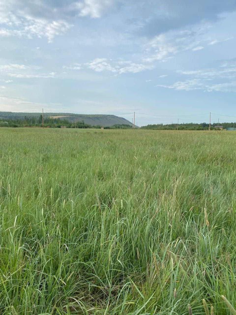 8 м², земельные участки, продаю 2