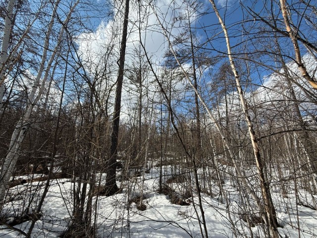 539 м², земельные участки, продаю 3