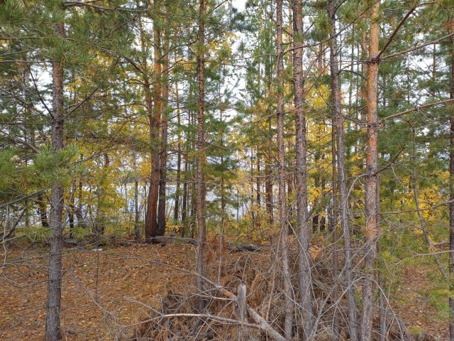 1200 м², земельные участки, продаю 4