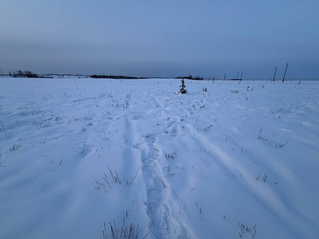 600 м², земельные участки, продаю 2