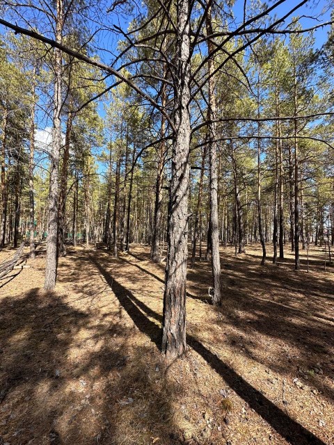 1000 м², земельные участки, продаю