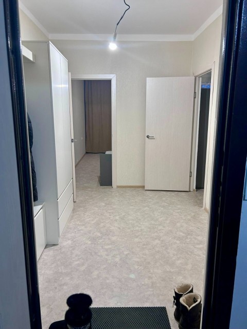 1 комн., Монолитно-каркасный, Звездный 5