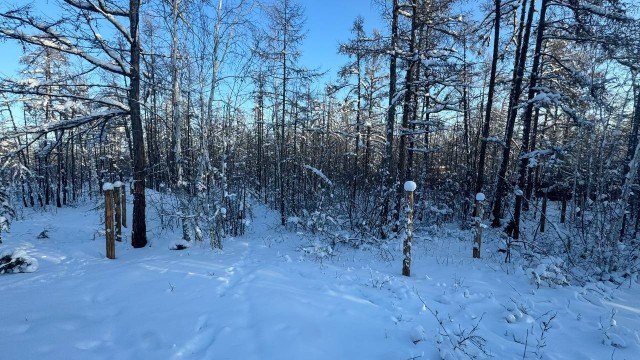 19 м², земельные участки, продаю 2