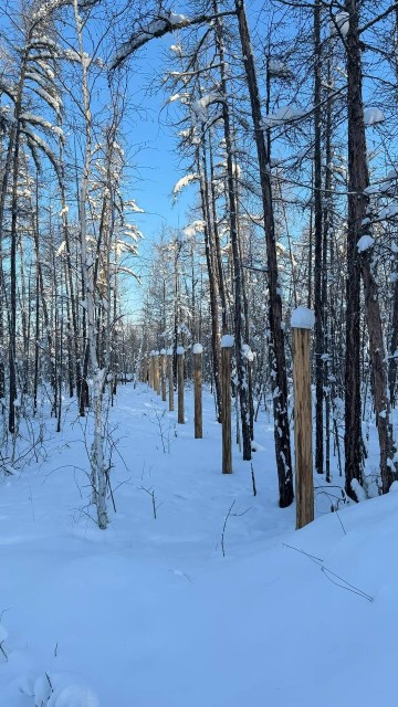 19 м², земельные участки, продаю