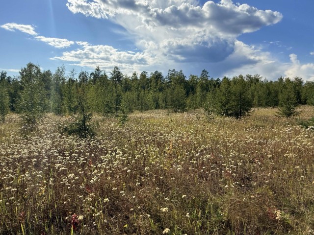 1000 м², земельные участки, продаю 3