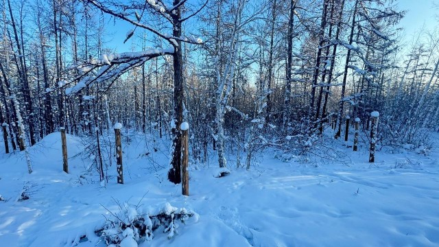 19 м², земельные участки, продаю 5