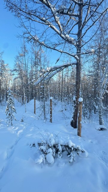 19 м², земельные участки, продаю 7