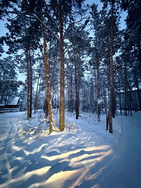 1000 м², земельные участки, продаю