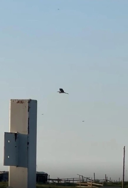 1000 м², земельные участки, продаю 5