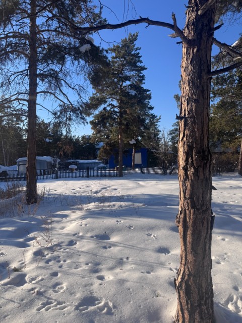 1263 м², земельные участки, продаю 12