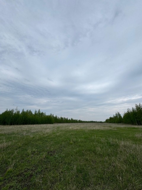 2000 м², земельные участки, продаю 2