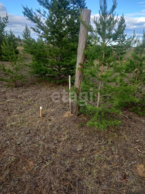1200 м², земельные участки, продаю 2