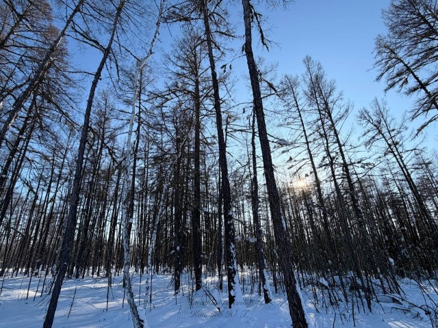 770 м², земельные участки, продаю 2