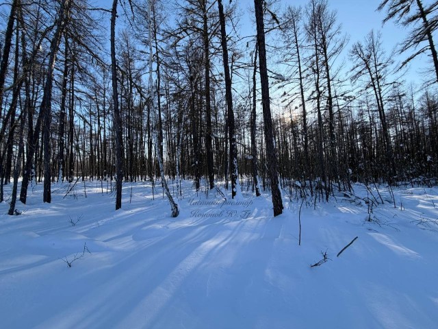 770 м², земельные участки, продаю