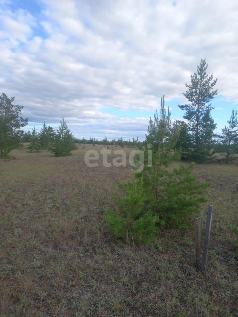 1200 м², земельные участки, продаю 10