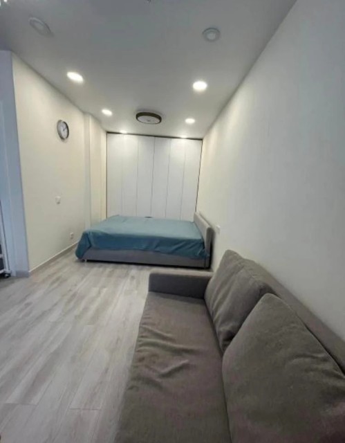 1 комн., 45 м², Монолитно-каркасный, Рынок Столичный