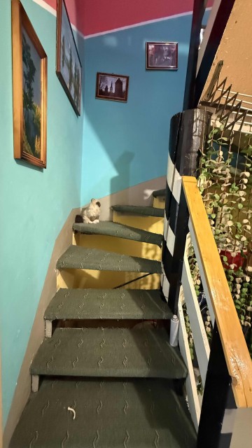 4 комн., 92 м², 112 серия, Авиапорт 9