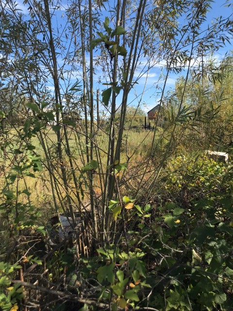 950 м², земельные участки, продаю